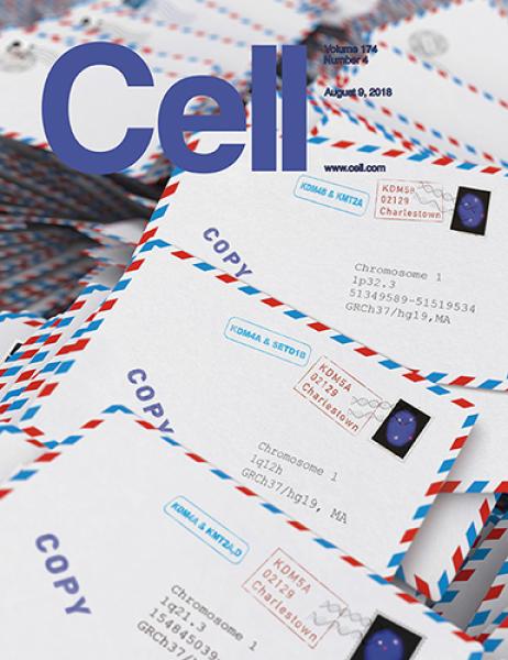 Link to /sites/default/files/styles/slider_desktop/public/images/slide/CellCover.jpg?itok=tWrCWTIF