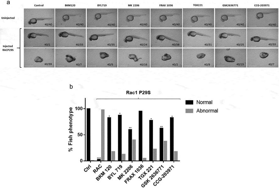 Link to /sites/default/files/styles/slider_desktop/public/images/slide/ChernoffFig2.jpg?itok=Lyudw_ek