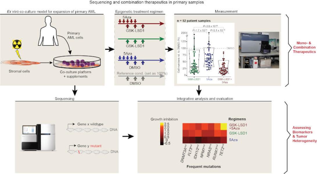 Link to /sites/default/files/styles/slider_desktop/public/images/slide/Cihangir_Duy_Lab_Image_1%20%281%29.jpg?itok=VZFOVY6l