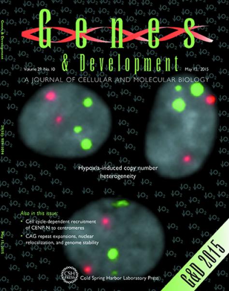 Link to /sites/default/files/styles/slider_desktop/public/images/slide/G%26DCover.jpg?itok=YPVMiYgV