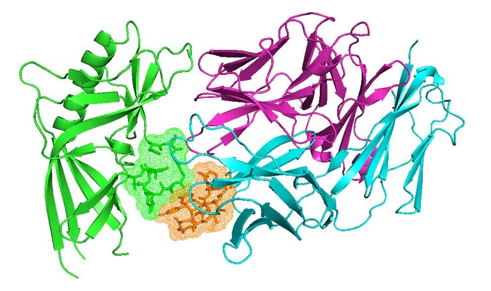 Link to /sites/default/files/styles/slider_desktop/public/images/slide/H2_6-CH103-design-image-for-fox-chase2_0.jpg?itok=Zie2l9bd