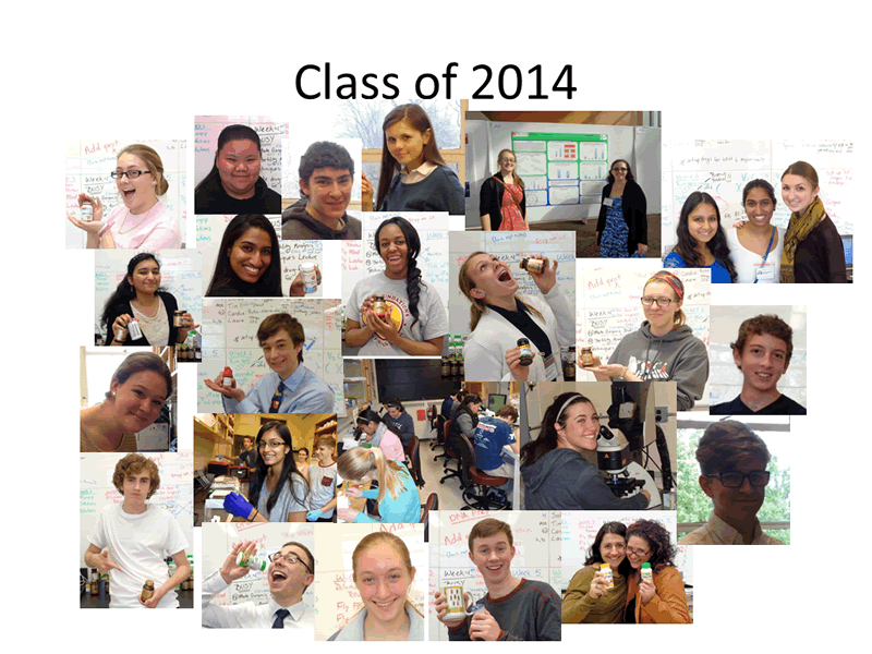 Immersion Science, Class of 2014