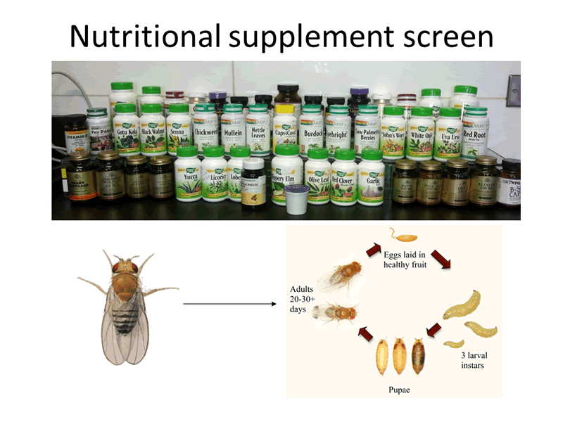 Nutritional supplement screen
