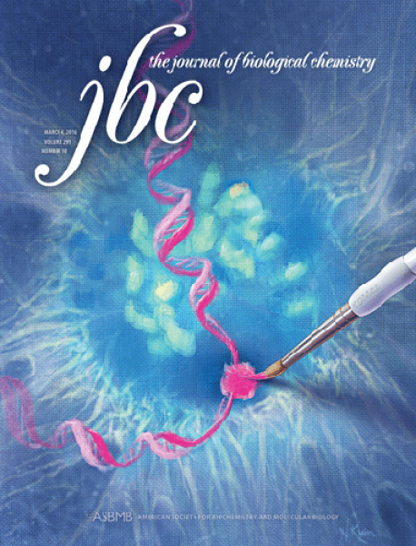 Link to /sites/default/files/styles/slider_desktop/public/images/slide/JBCCover.png?itok=_hPu9jTP