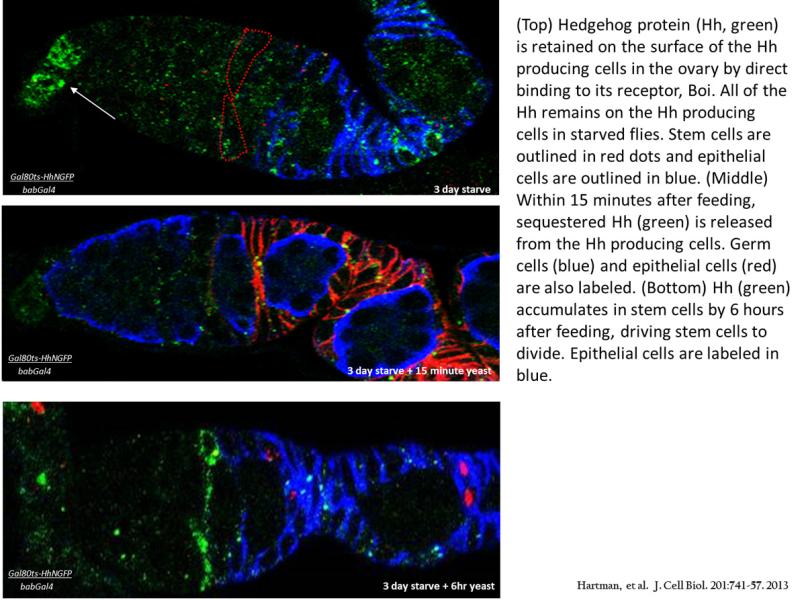 Link to /sites/default/files/styles/slider_desktop/public/images/slide/Picture6_1200.jpg?itok=12zk2xyP