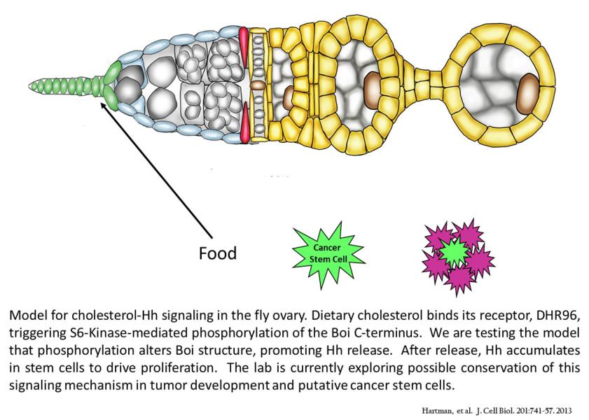 Link to /sites/default/files/styles/slider_desktop/public/images/slide/Picture7_1200.jpg?itok=-WiutCn9