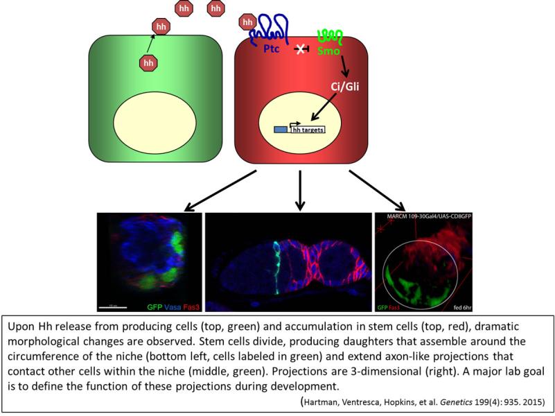 Link to /sites/default/files/styles/slider_desktop/public/images/slide/Picture8_1200.jpg?itok=wY48oauX