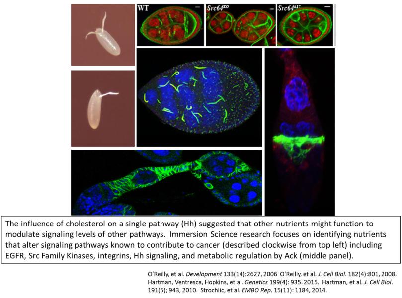 Link to /sites/default/files/styles/slider_desktop/public/images/slide/Picture9_1200.jpg?itok=IAWQe6P1