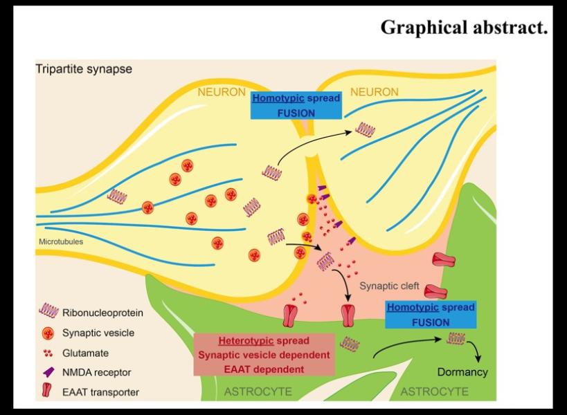 Link to /sites/default/files/styles/slider_desktop/public/images/slide/RallFig2.jpg?itok=MTBzJyor