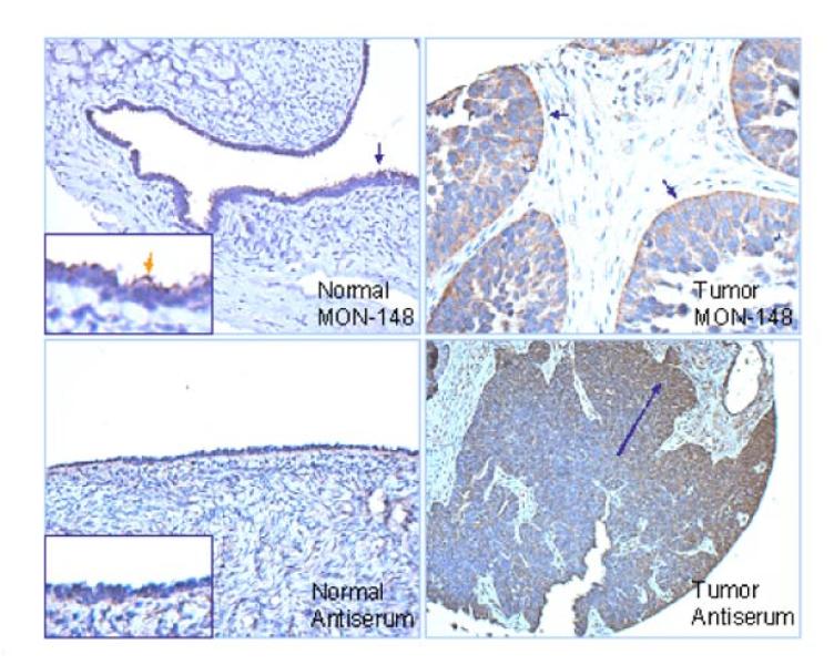 Link to /sites/default/files/styles/slider_desktop/public/images/slide/SS3L.jpg?itok=pEZRhIoX