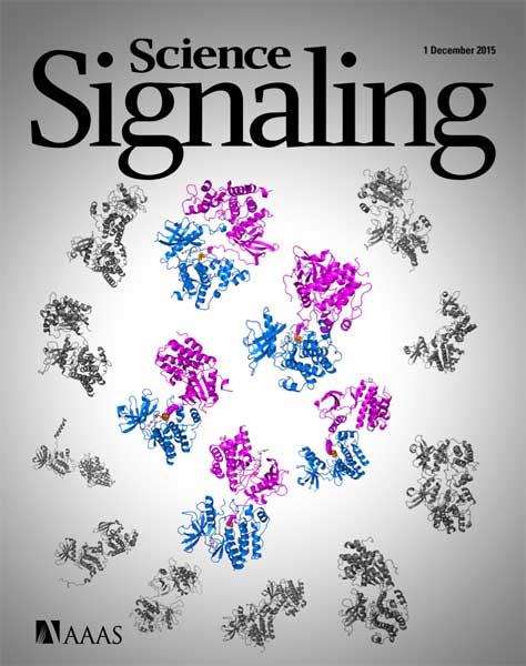 Link to /sites/default/files/styles/slider_desktop/public/images/slide/SciSignaling_autophosphorylation_cover-for-fox-chase2.jpg?itok=pPA3CKfB