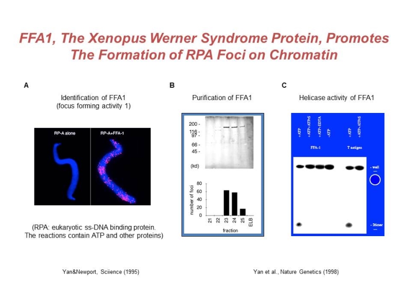 Link to /sites/default/files/styles/slider_desktop/public/images/slide/Slide1_1.JPG?itok=03IH5nHm