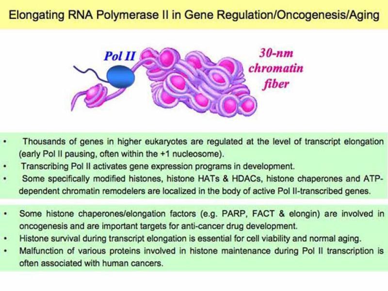 Link to /sites/default/files/styles/slider_desktop/public/images/slide/Slide2-L.jpg?itok=TpsTbdZN