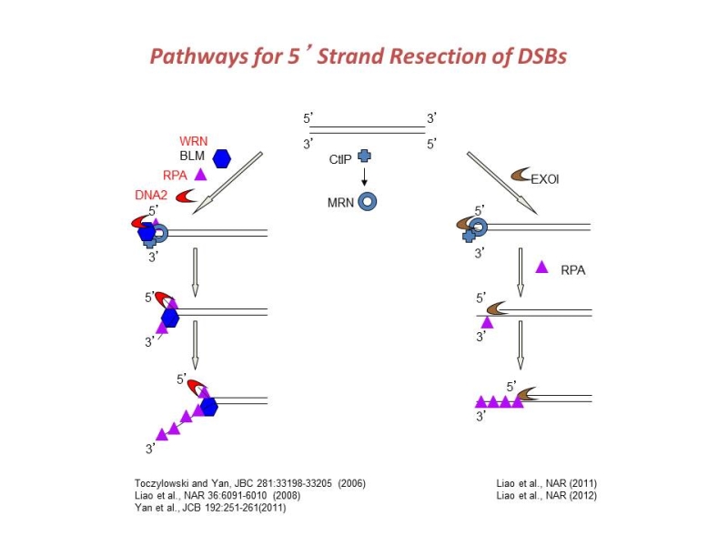 Link to /sites/default/files/styles/slider_desktop/public/images/slide/Slide2_1.JPG?itok=T4An4_qA