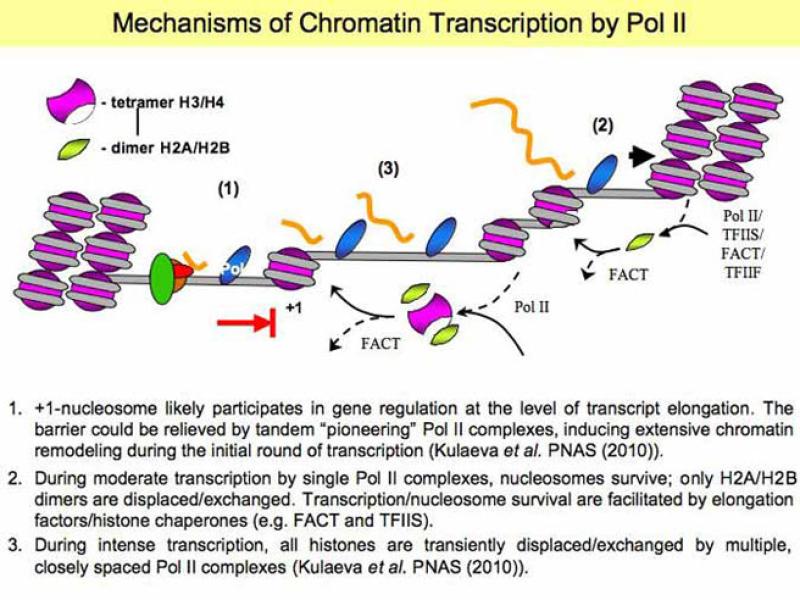 Link to /sites/default/files/styles/slider_desktop/public/images/slide/Slide3-L.jpg?itok=_xMcdawq