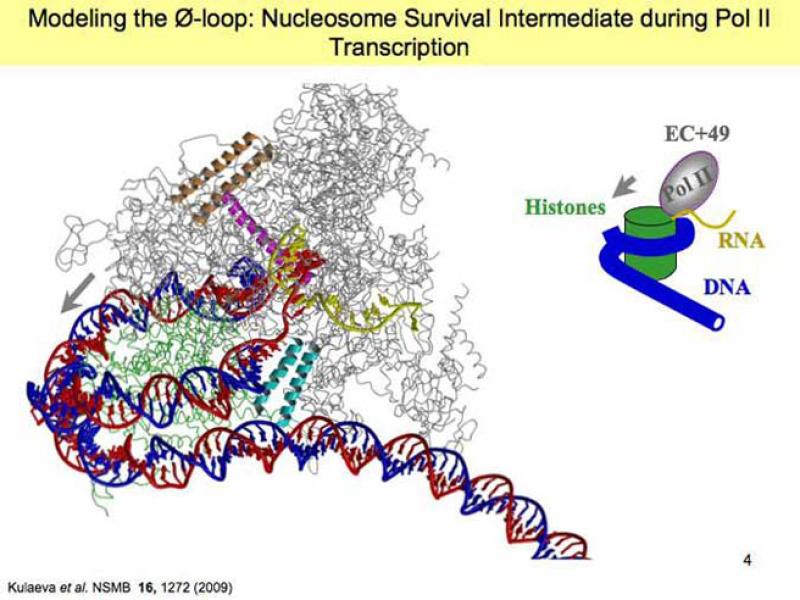 Link to /sites/default/files/styles/slider_desktop/public/images/slide/Slide4-L.jpg?itok=FtWbLb_G