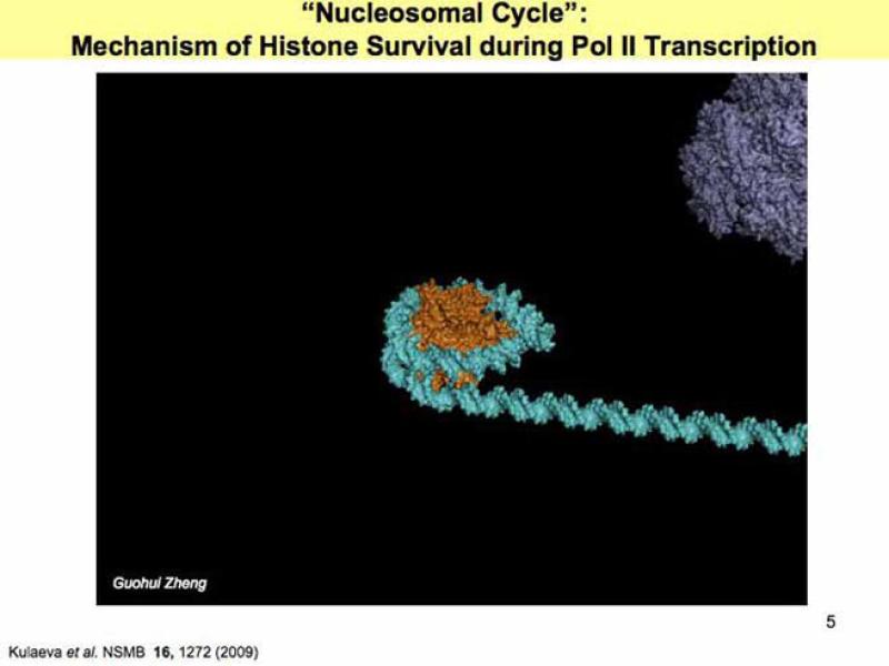 Link to /sites/default/files/styles/slider_desktop/public/images/slide/Slide5-L.jpg?itok=1twUv3PM