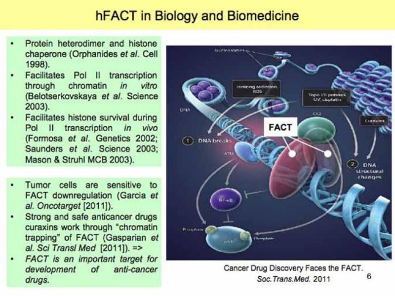 Link to /sites/default/files/styles/slider_desktop/public/images/slide/Slide6-L.jpg?itok=BT0AaNob