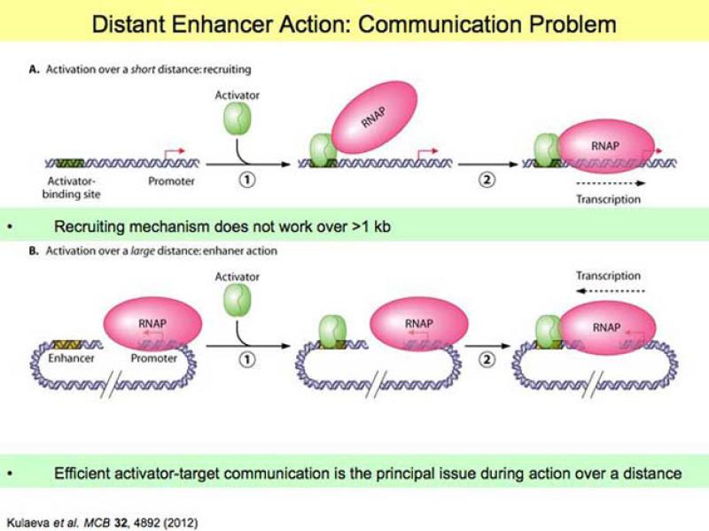 Link to /sites/default/files/styles/slider_desktop/public/images/slide/Slide8-L.jpg?itok=kcl1_0Vq