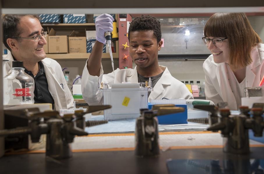 Link to /sites/default/files/styles/slider_desktop/public/images/slide/Summer_Research_Deneka_Iheanacho_Kiseleva-18.jpg?itok=Kz4NlwWg