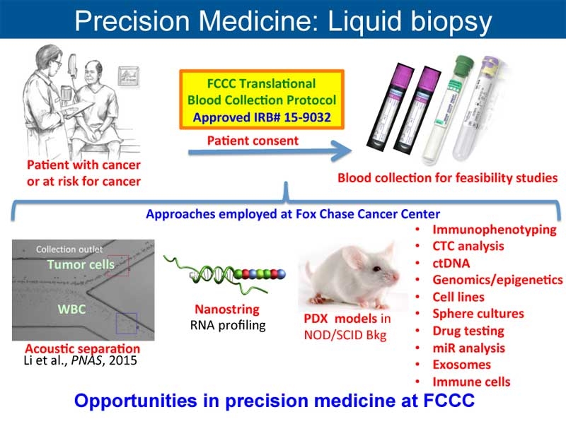 Link to /sites/default/files/styles/slider_desktop/public/images/slide/Translational-Research-for-CCSG-Director%27s-Overview-1-4-16-4.jpg?itok=aGlIw7iD