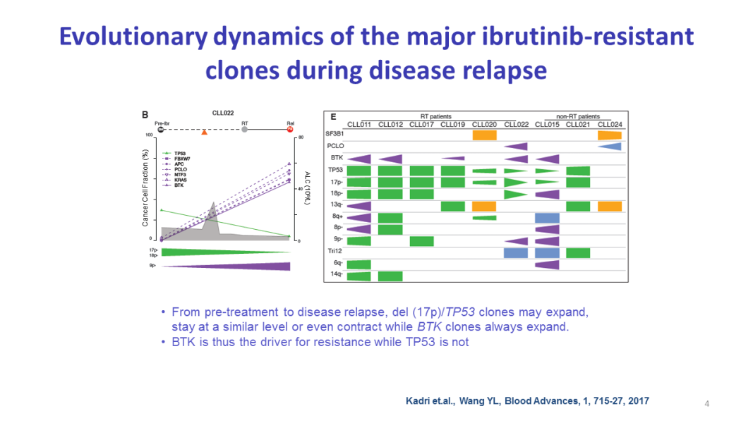 Evolutionary dynamics of the major ibrutinib-resistant clones during disease relapse