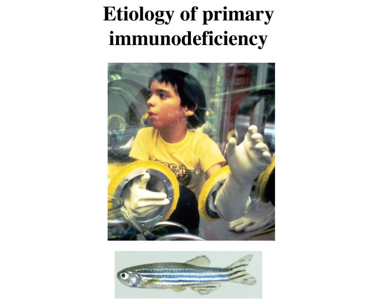 Link to /sites/default/files/styles/slider_desktop/public/images/slide/WiestFig1_0.jpg?itok=8SDANZ4d