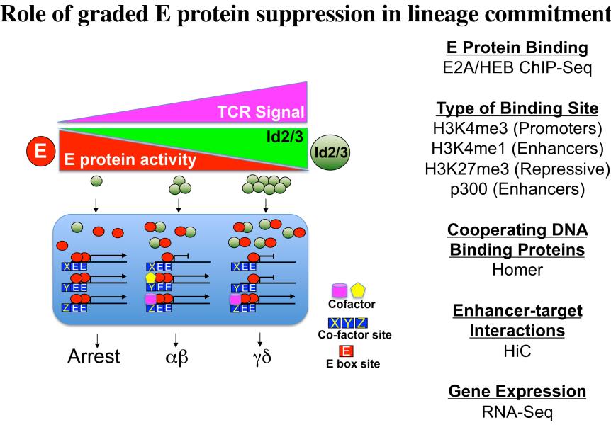 Link to /sites/default/files/styles/slider_desktop/public/images/slide/WiestFig3.jpg?itok=C7Akb894