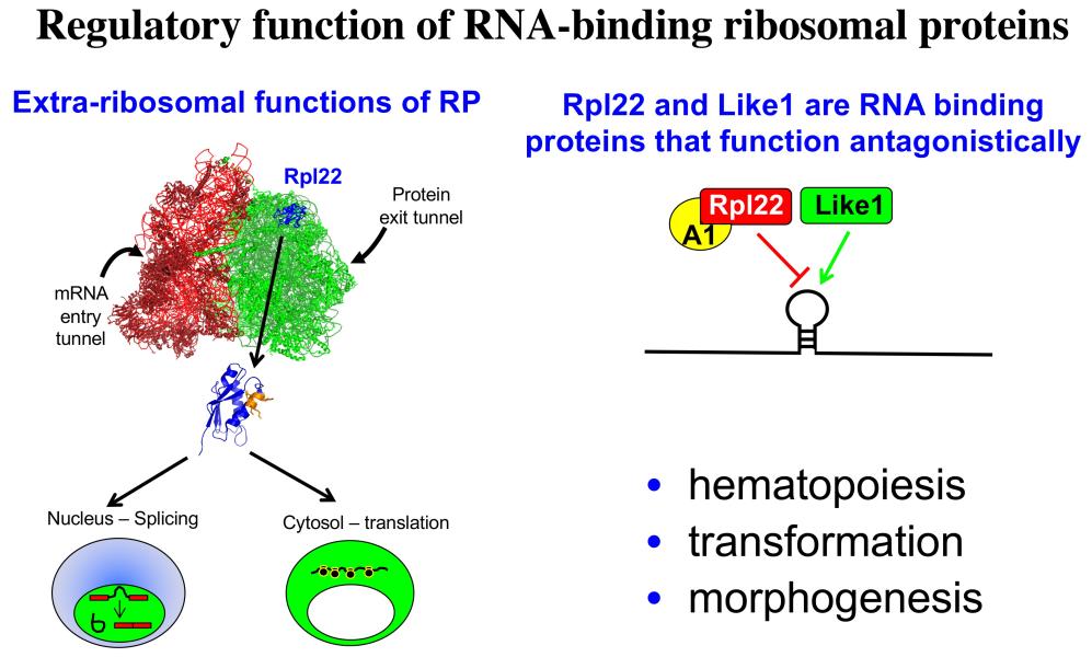 Link to /sites/default/files/styles/slider_desktop/public/images/slide/WiestFig4.jpg?itok=TrvsOuPg