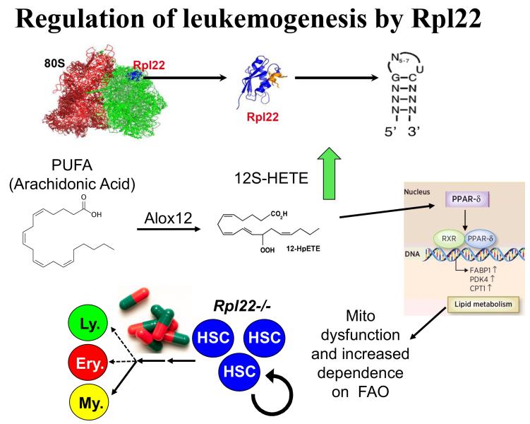 Link to /sites/default/files/styles/slider_desktop/public/images/slide/WiestFig5.jpg?itok=k4y7bf7C