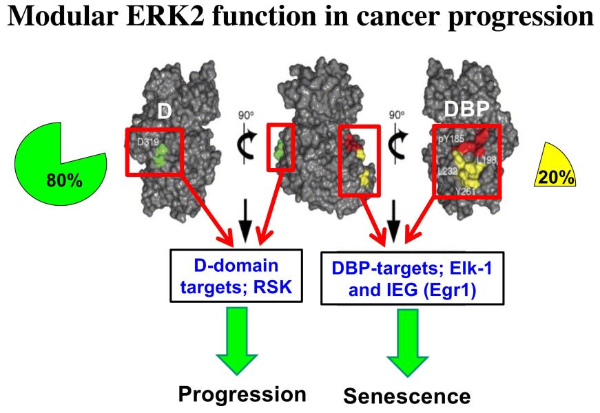 Link to /sites/default/files/styles/slider_desktop/public/images/slide/WiestFig6.jpg?itok=4A80W6os