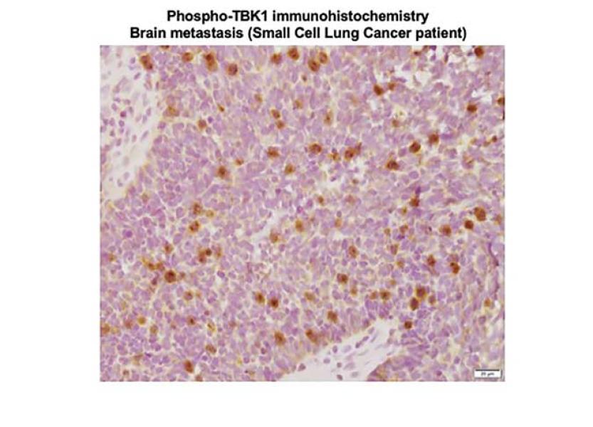 Link to /sites/default/files/styles/slider_desktop/public/images/slide/canadas-slideshow02_Slide3_1.jpg?itok=9ce7Uou5