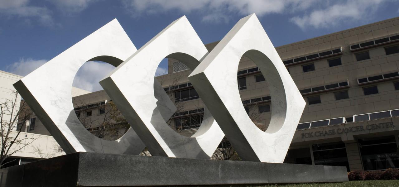 Fox Chase, a history sculpture