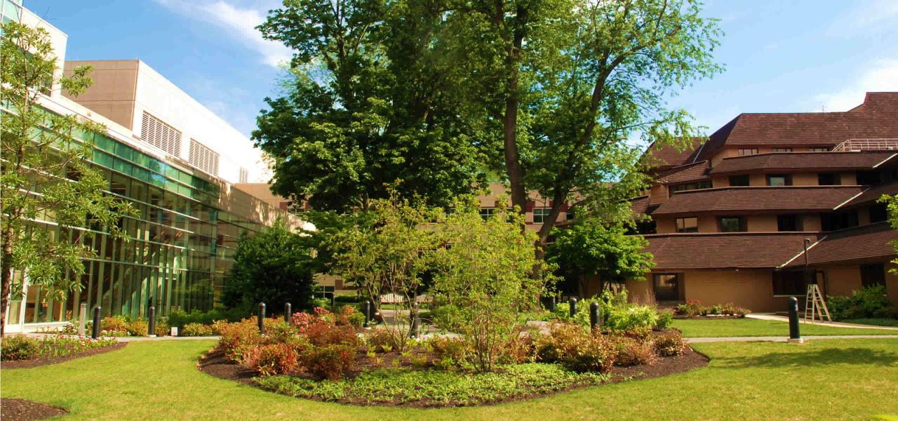The center courtyard. Research on the left, the hospital on the right.