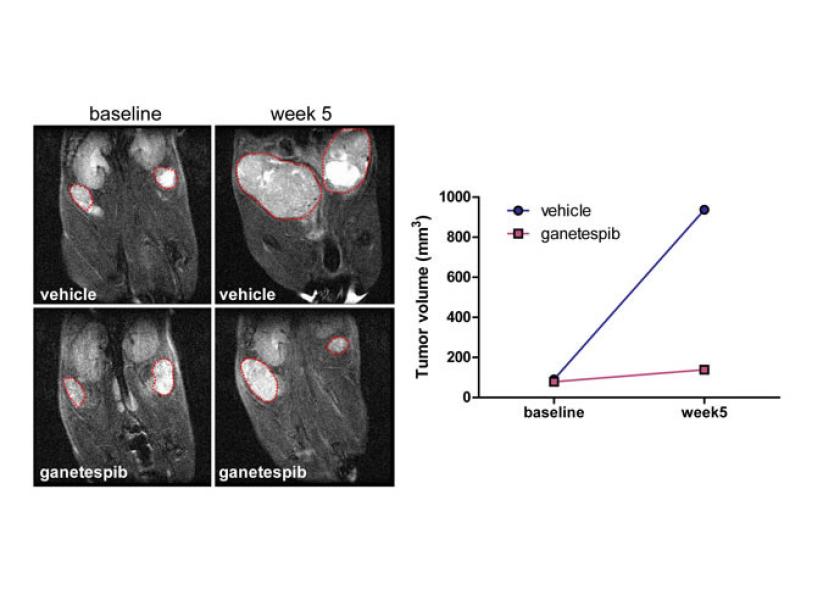 Link to /sites/default/files/styles/slider_desktop/public/images/slide/highlight-figure_large_0.jpg?itok=d8XpsJEW