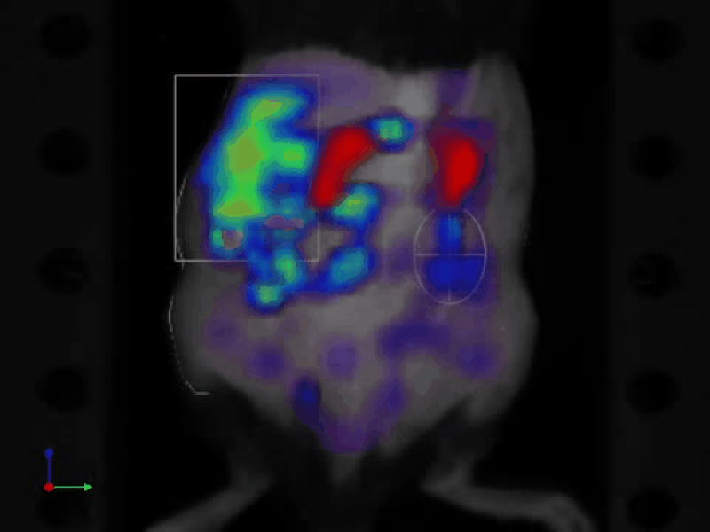 Link to /sites/default/files/styles/slider_desktop/public/images/slide/integra.png?itok=bETRzBzg