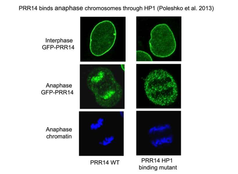 Link to /sites/default/files/styles/slider_desktop/public/images/slide/katz_Slide03.png?itok=O9F7DOhD