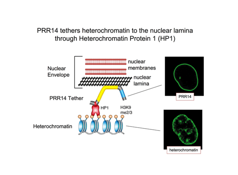 Link to /sites/default/files/styles/slider_desktop/public/images/slide/katz_Slide_02.png?itok=MA97ksNX