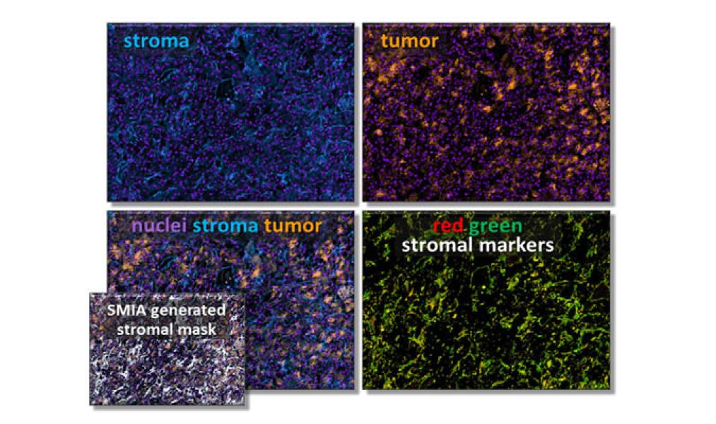 Link to /sites/default/files/styles/slider_desktop/public/images/slide/largeSS14_0.jpg?itok=faOwhGi3