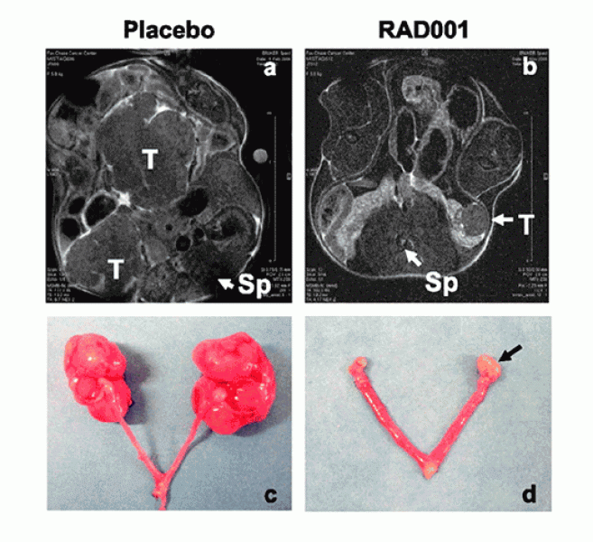 Link to /sites/default/files/styles/slider_desktop/public/images/slide/mTorLarge.gif?itok=O-MG2mAN