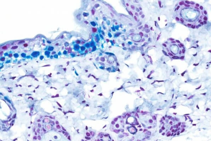 Link to /sites/default/files/styles/slider_desktop/public/images/slide/pstat-1-purple-teal.jpg?itok=QSD0wlCh