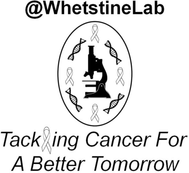 Link to /sites/default/files/styles/slider_desktop/public/images/slide/whetstine-lab-logo_1.jpg?itok=G-5L0mMk