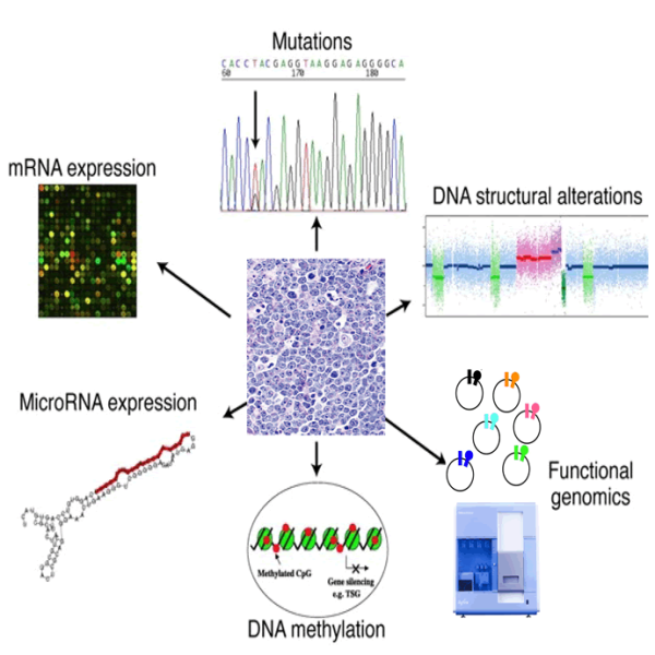 The Genomic Assault on Cancer