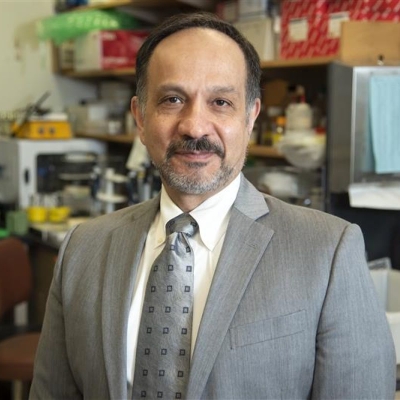 Hossein Borghaei