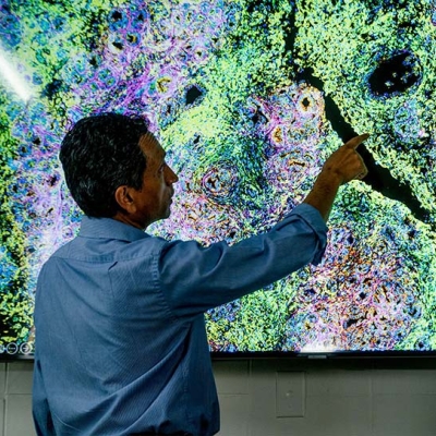 Dr. Sid Balachandran points to visual for immunology