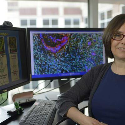 Edna (Eti) Cukierman, PhD Professor Co-Leader, Cancer Signaling and Epigenetics Program