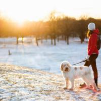 Sun Safety in Winter Blog