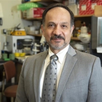 Hossein Borghaei