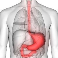 Link to /sites/default/files/styles/thumb/public/Gastric-Cancer-Risks-1200-628.jpg?h=2240b8e9&itok=T9D2Oj7d