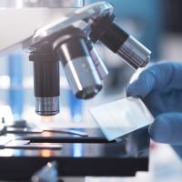 A closeup photo of a gloved hand holding a small glass slide up to a microscope, the background blurred.